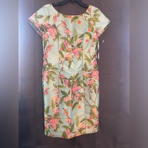NWT Talbots Dress(4)